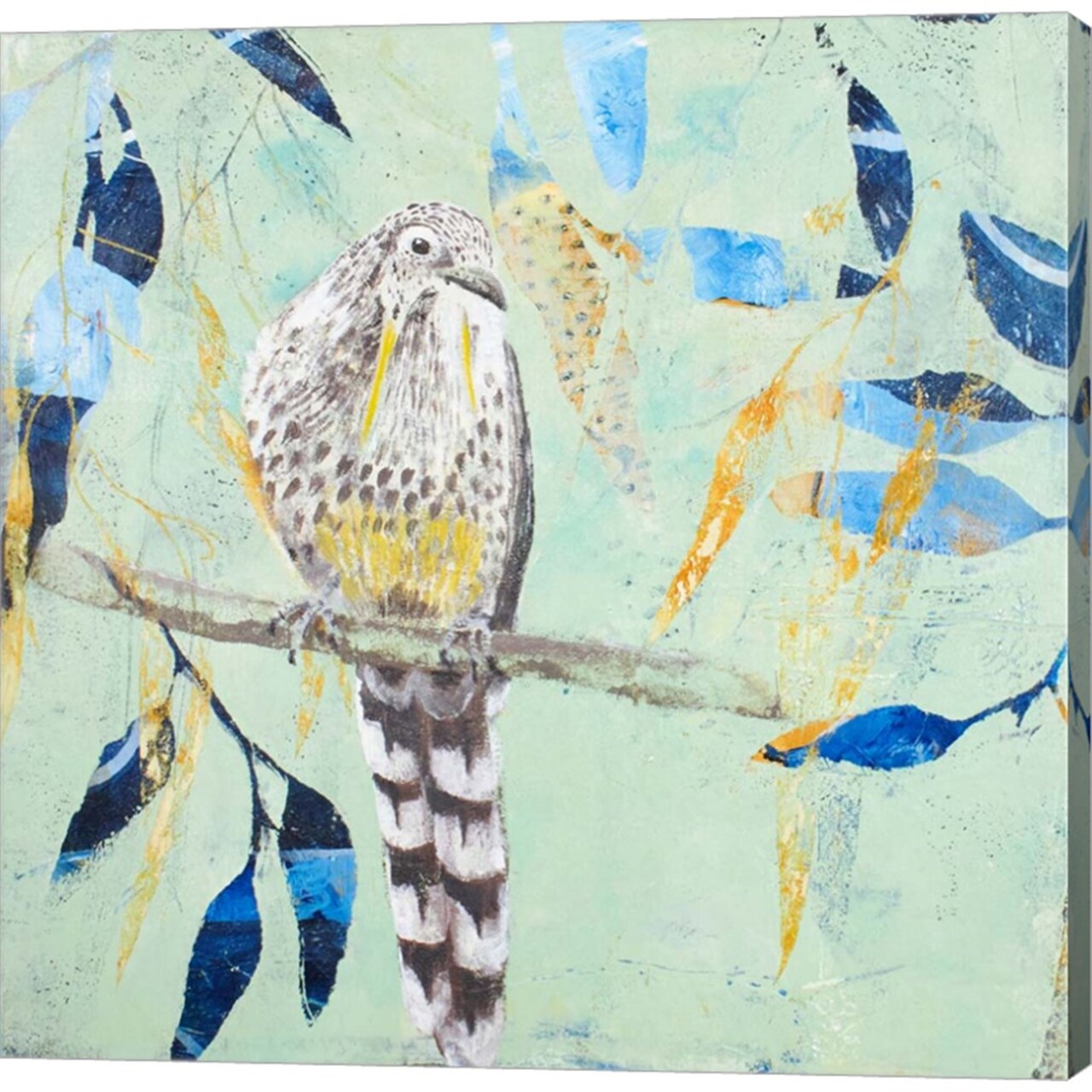 A Thoughtful Wattlebird by Trudy Rice 12" x 12" Canvas Wall Art
